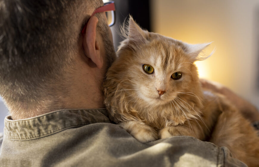 elderly-person-with-pet-cat