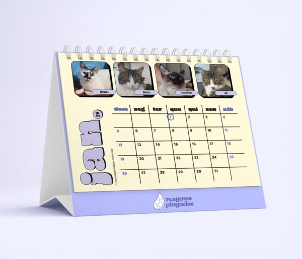Calendário 2025