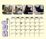Calendário 2025