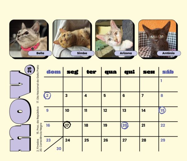 Calendário 2025