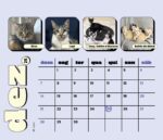 Calendário 2025