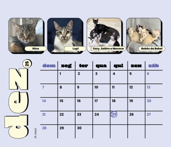 Calendário 2025
