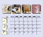Calendário 2025