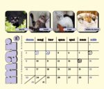 Calendário 2025