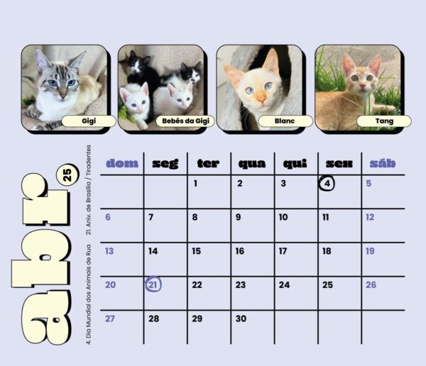 Calendário 2025