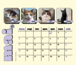 Calendário 2025
