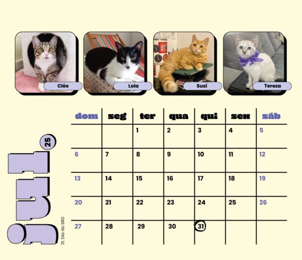 Calendário 2025