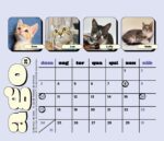 Calendário 2025