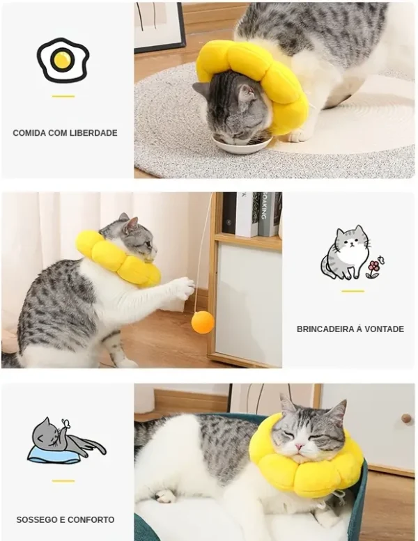 Colar elisabetano acolchoado Girassol