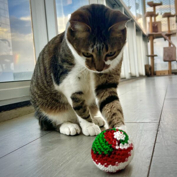 Bolinha de crochê com catnip