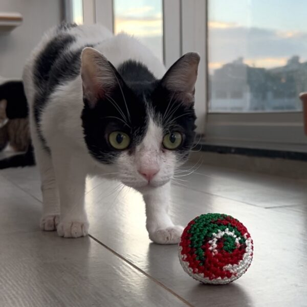 Bolinha de crochê com catnip